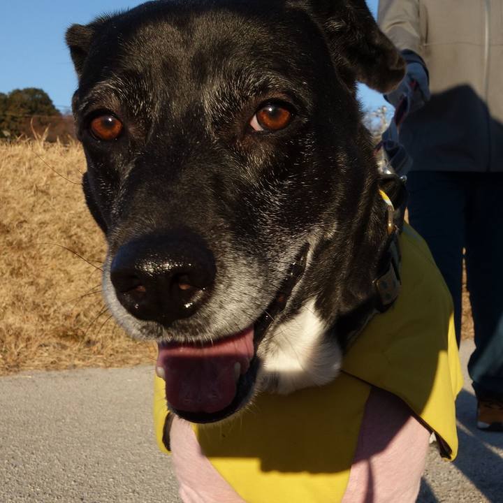 68ab19e2 b12a 422e a89d 1cd253176d0a 1738108963389