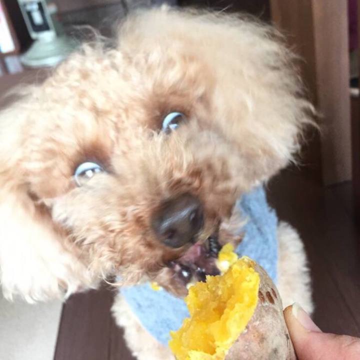 68ab3c16 bd29 4f9d b08a 1dad2ee1bb17 1518268448708