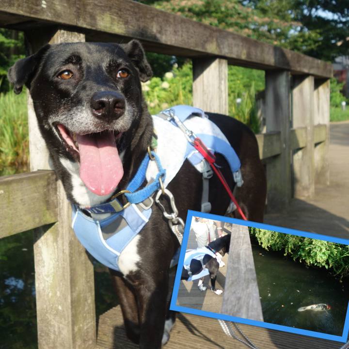 68ab72b4 8ab9 40c9 98f4 25b8e023a114 1692494935680