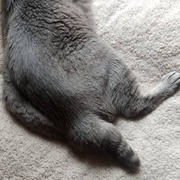 68ab9f5a 5803 44ca 8d42 a546951cba68 1684717237014