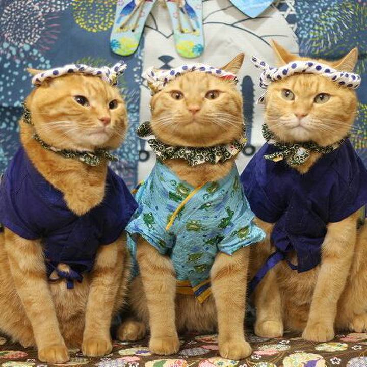 68abf59f ea01 4023 aac6 cf0f84b86c96 1565709049986