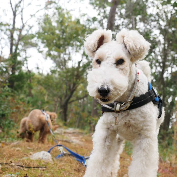 68abfa79 0a91 4265 bba1 f3ce7abe6334 1542105185751