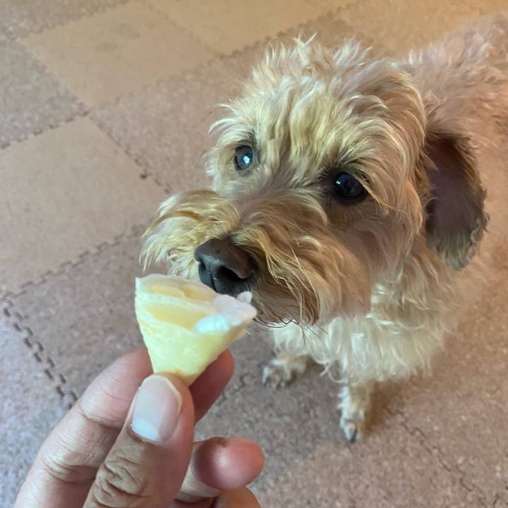 68ac30b7 f78b 4dfc b1cf 8d6792b6ad89 1687732769905