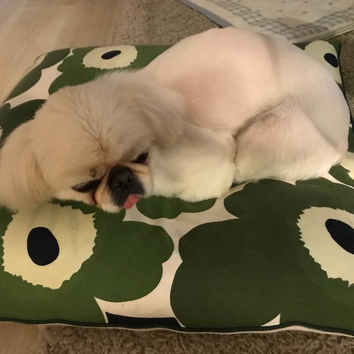 68ac5135 5945 44d6 aa27 83424153779f 1524484140847