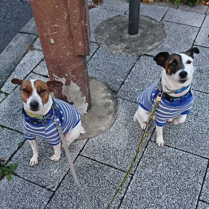 68ac8f0b fa10 408d bda4 c721e63193b1 1579471460912