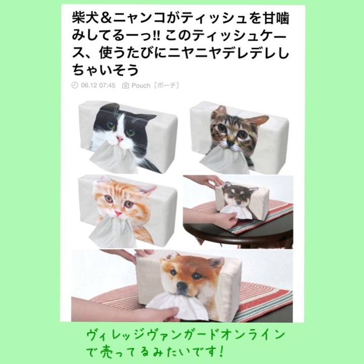 68acef01 1c81 4810 a9e7 938732736695 1528815027732