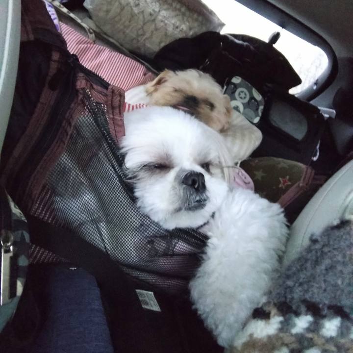 68acf374 cfc3 4cc9 b364 621f770d9969 1708301386640