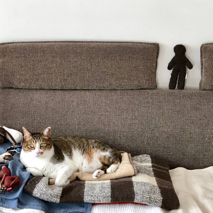 68ad130d 40e6 40e5 91b3 d06261eb1971 1550464746689