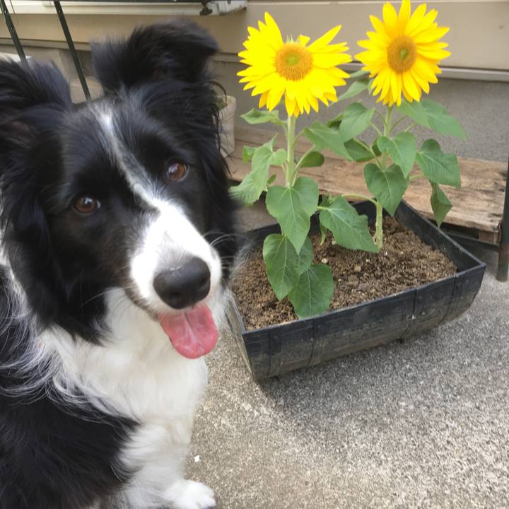 68ad6ed8 90ed 4ed1 8f0e 3179067bc0ab 1528530136654