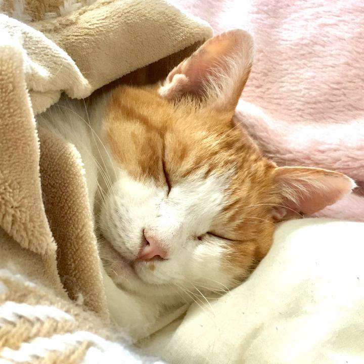 68adafa5 aedd 4158 b634 148ed32ecc28 1570793515888