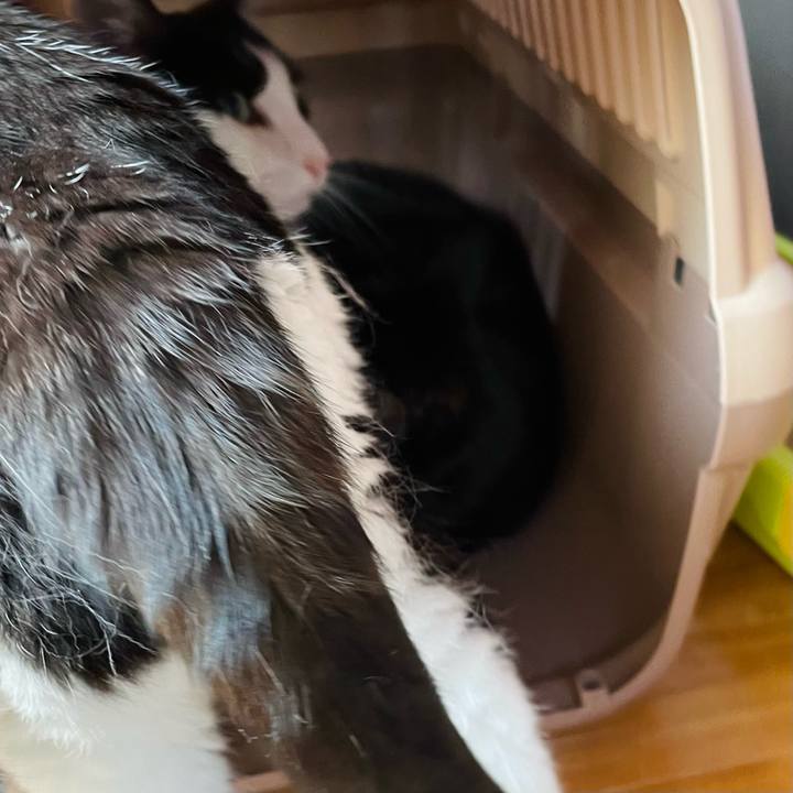 68add07a 8727 44ab 9f1f 6fb92c1ab5aa 1634524366457