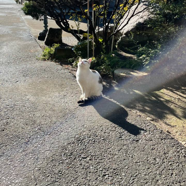 68addc5e b466 49b1 803a f2a357260fcc 1634944932851