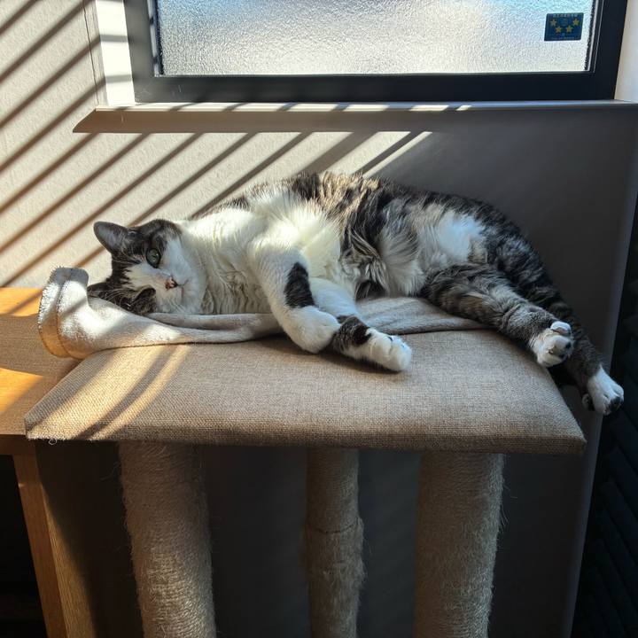 68ade01a 5e99 498a 9a17 4a9e6c5e2daf 1763541555793