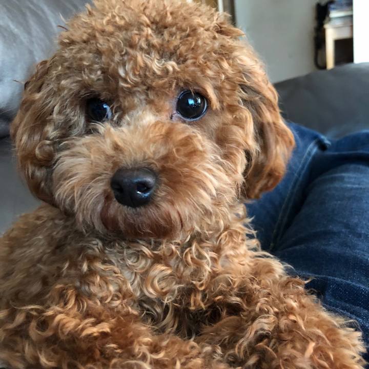 68ade0f5 a796 4944 a922 f151c6474dd6 1509070059635