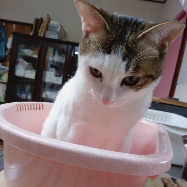 68ae34d4 574d 499f a946 4114af9aff29 1677320886768