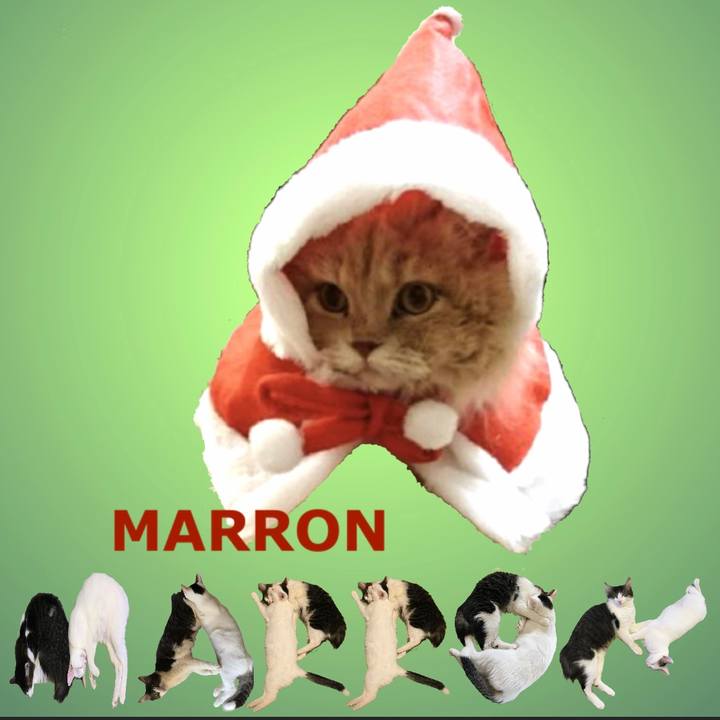 68ae3d55 7f0b 4a54 ba0e 42f27620eca2 1670899421906