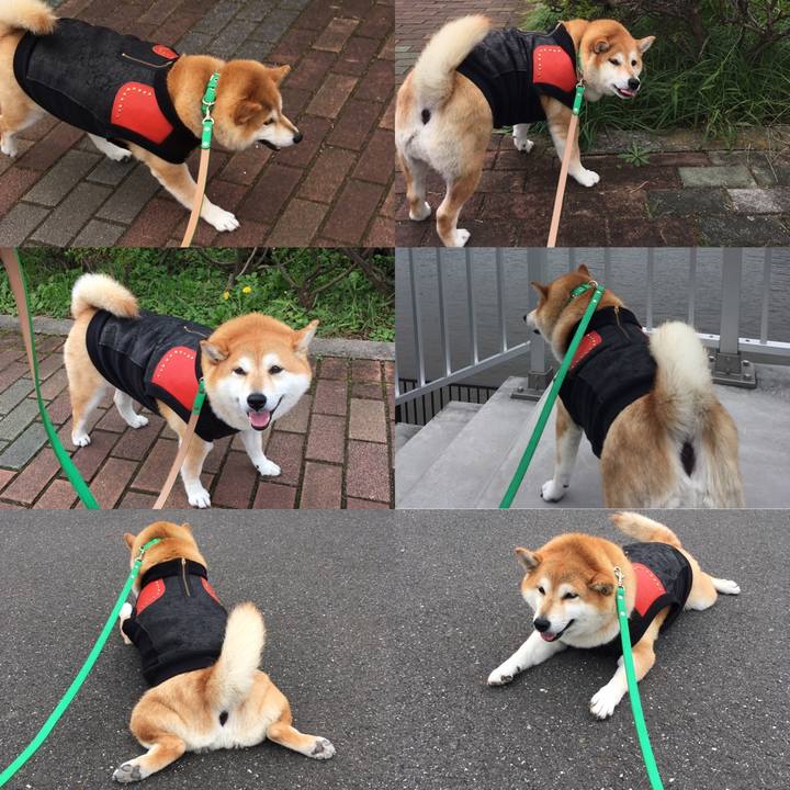 68ae6994 c0b1 4f4c 9a0c 1607bc044948 1603077740281