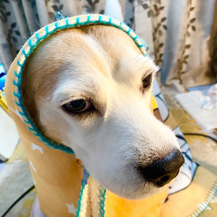 68af4388 d672 4f16 bb5d d714e1f9a0bd 1616912613780