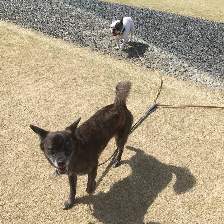 68af47db 97a9 4c68 8981 c3f8dcde8ac8 1557327610590