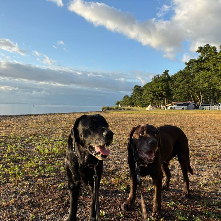 68af694b a450 4e7b 9da8 3f177f65801c 1758543433318