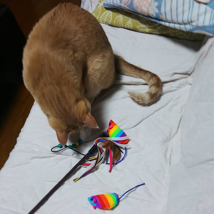 68af91c3 245e 4578 ad66 9f6db42348a3 1664368908052