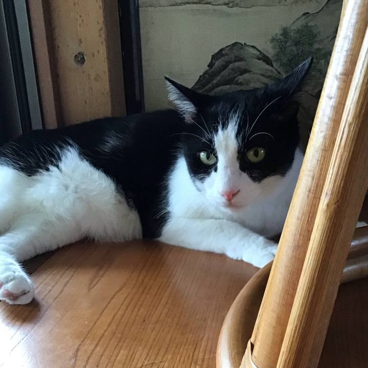 68afbf8d e559 4258 a546 27378faa7a10 1755516782103