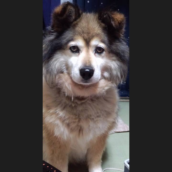 68afd579 d111 4ce3 a94b ca2ba6b6f70a 1560827494464