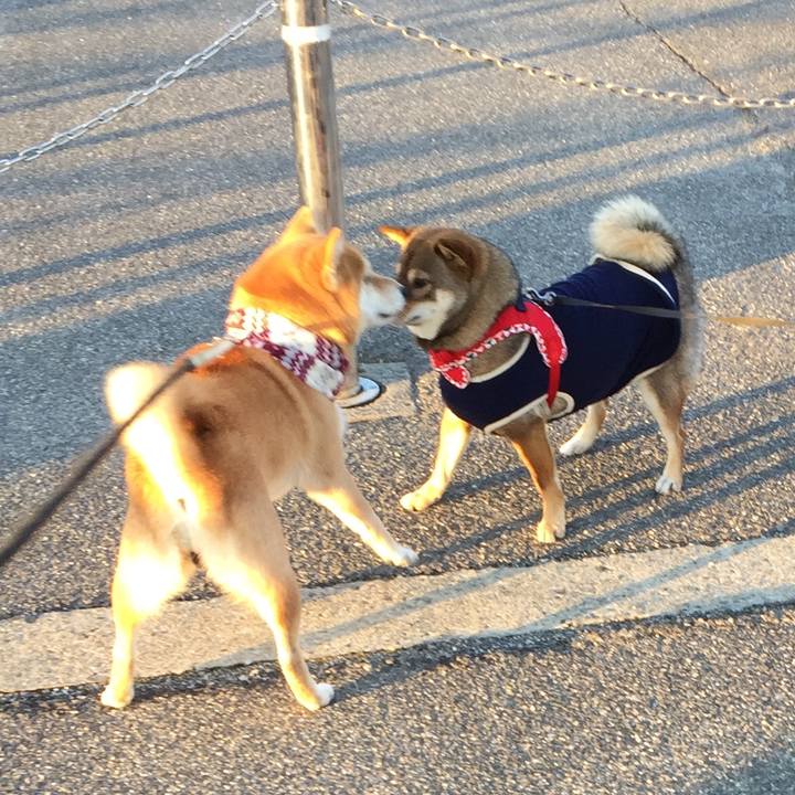 68aff108 f7c7 4517 bd15 07671a17fffb 1515758131440