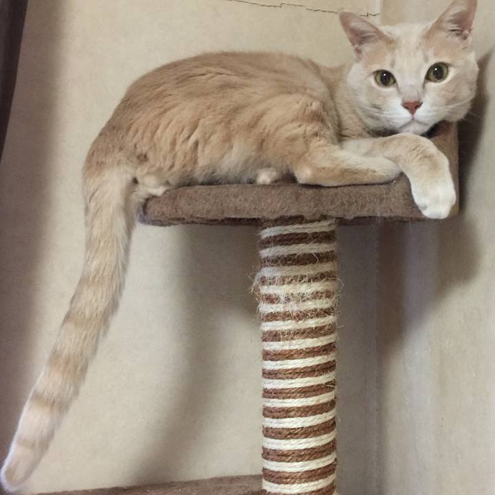 68b01fe7 2646 436c b46b 5e9bc2fabd23 1509887423452