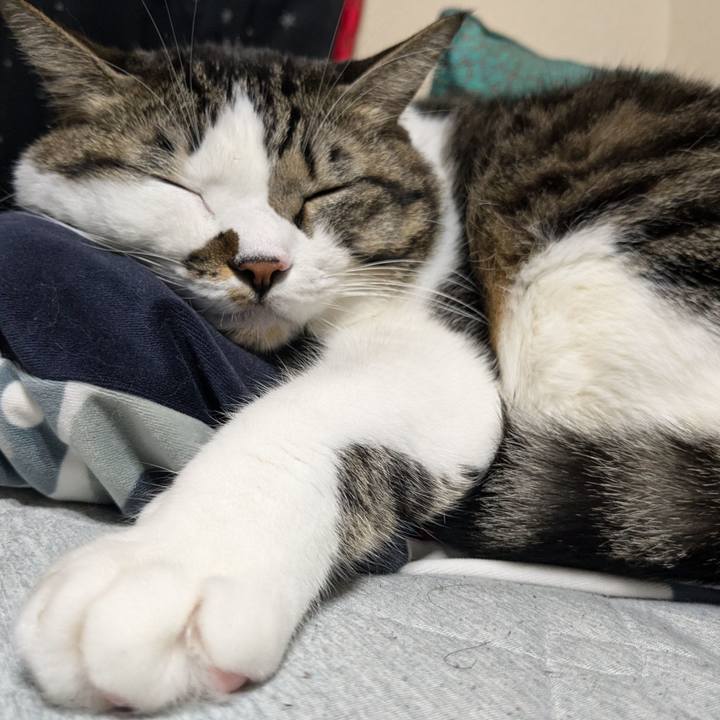 68b020db 68d0 4560 8e40 317ac4ac69dc 1732354976375