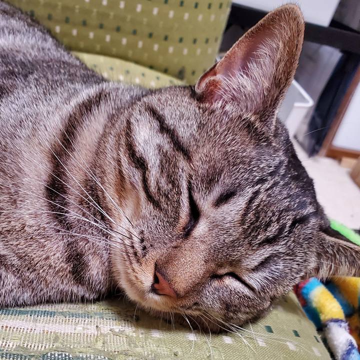 68b024d6 6a6d 46d1 8b43 0588ffd5e149 1710746438096