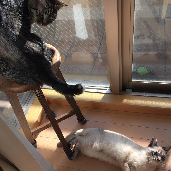 68b0280b 5fd2 4aa9 87c0 a6a062c09851 1548464843767