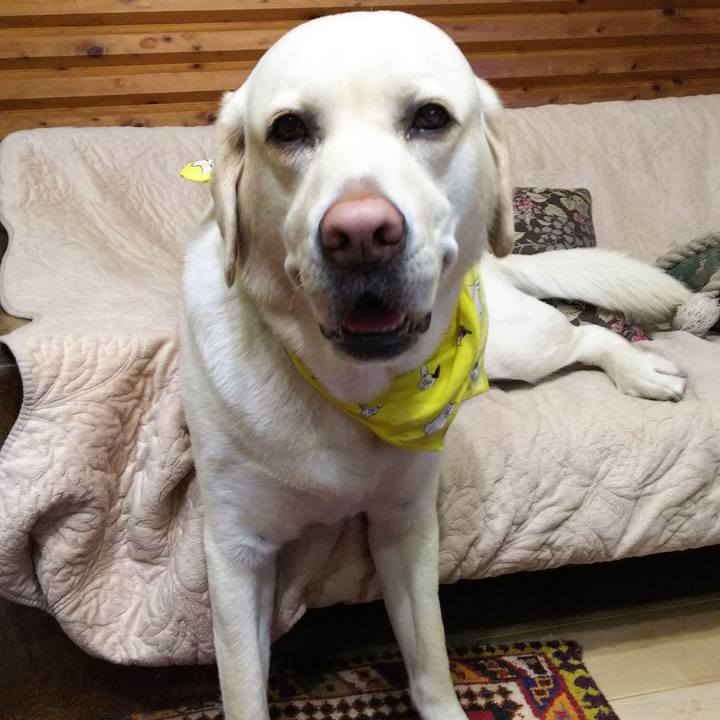 68b059de 923f 4fcc 997e c3888fc39f43 1554896546170