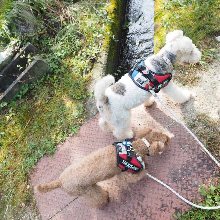 68b06c29 272f 4f87 a686 28f7eec4005b 1569941749853