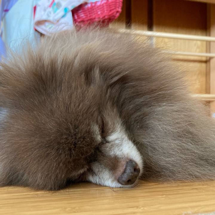 68b075a8 ab00 4de0 833b 7c66e08cb602 1715581141441