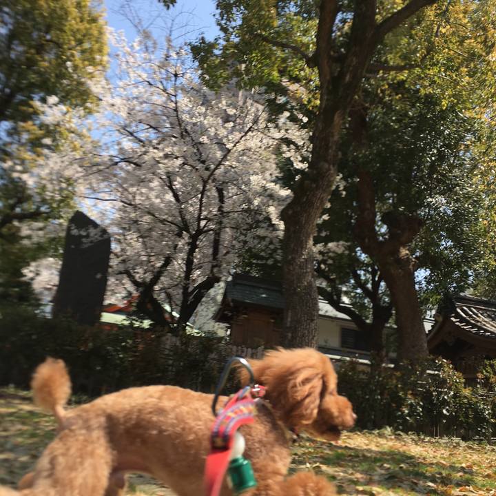 68b078f9 ae97 449f 993c 6ea11c3db71a 1522209775604