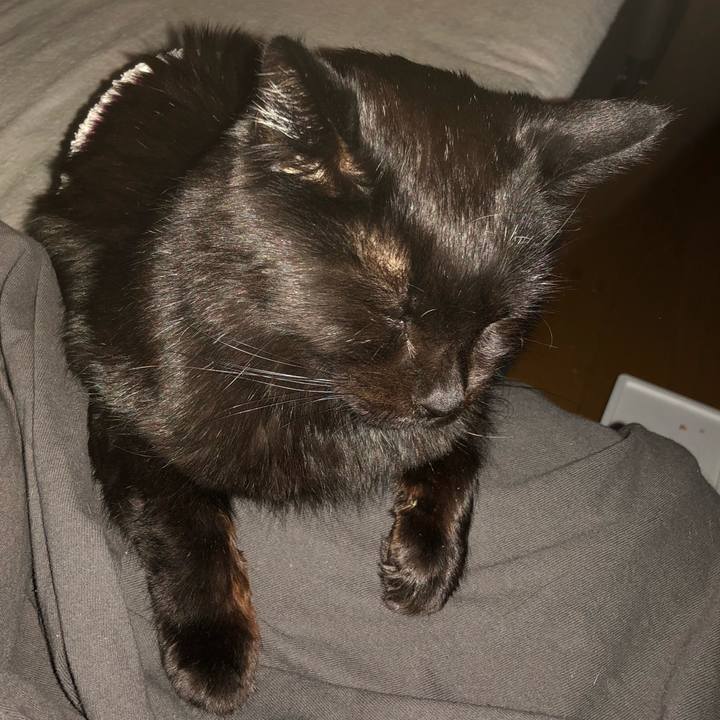 68b0c27c 5023 499d b003 a0ccb1640f9d 1610869335468