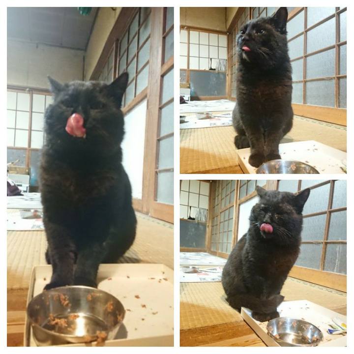 68b0df8f 3436 404a 87e7 a971fb4bd15c 1618314813074