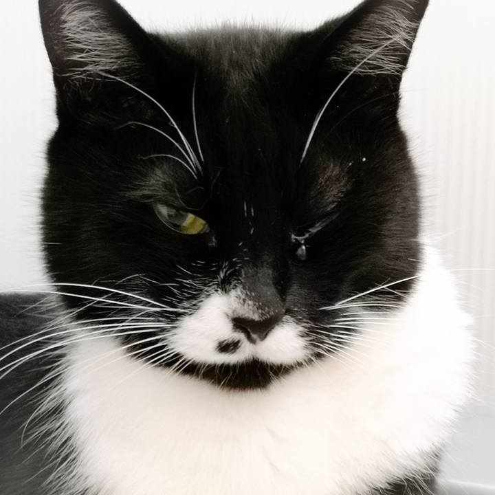 68b0e7de 3253 40dd 8d06 256e76ae130a 1560085452678