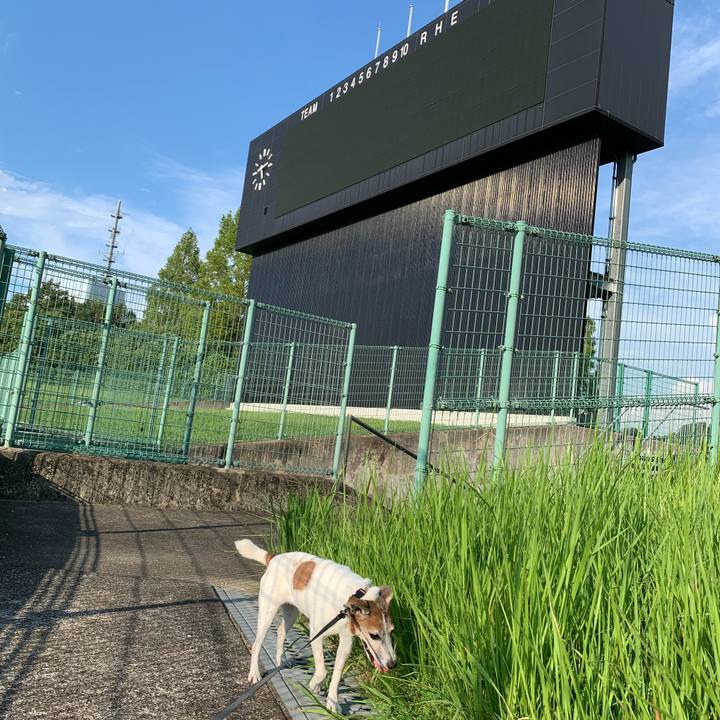 68b10dd1 fa5e 43e7 8205 f0ecc2b31ab0 1627556004611