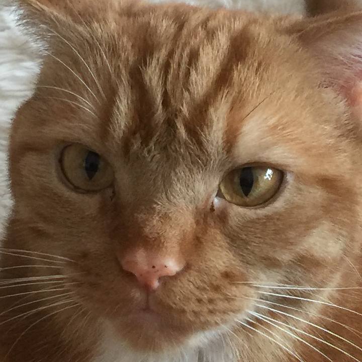 68b1526d 04a4 4117 afaf d1d14accb8e5 1556928835124