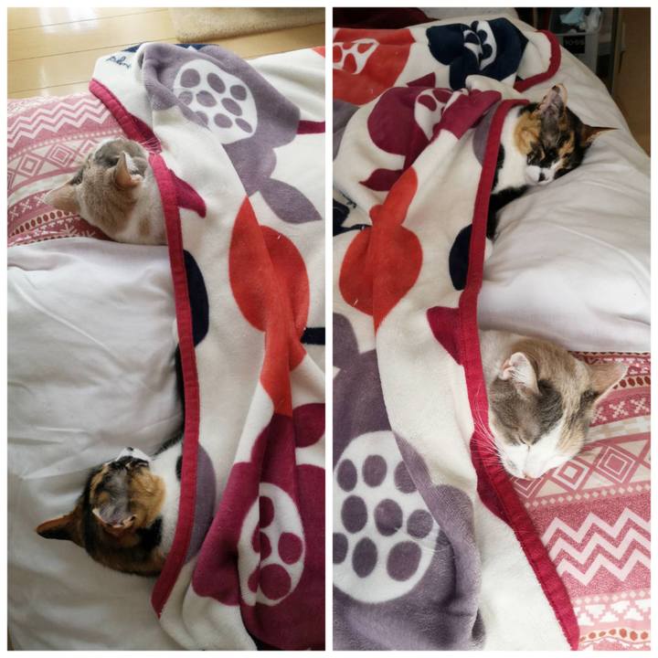 68b18e63 7fce 4914 bd94 63cb8d790cd6 1616140839008