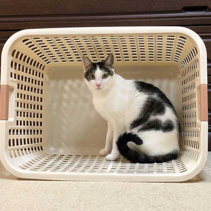 68b1bdb1 c83d 40f3 bb54 65af0c0a0533 1606142803238