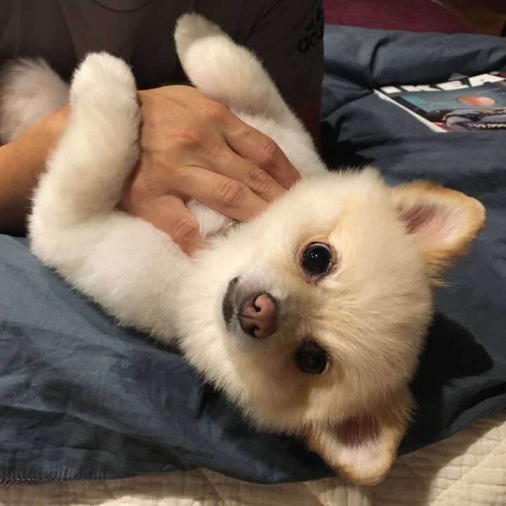 68b1cd01 e167 4260 9204 eba5fdc53296 1599047862754