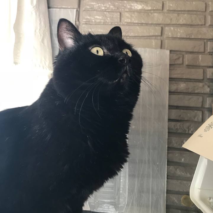 68b1e78f 79d4 4921 8f9e bf74845d98e9 1511401741038