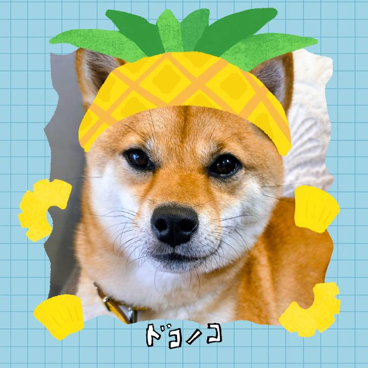 68b26e1a 390d 4ceb 98a7 059a0a3b79d6 1783480559854