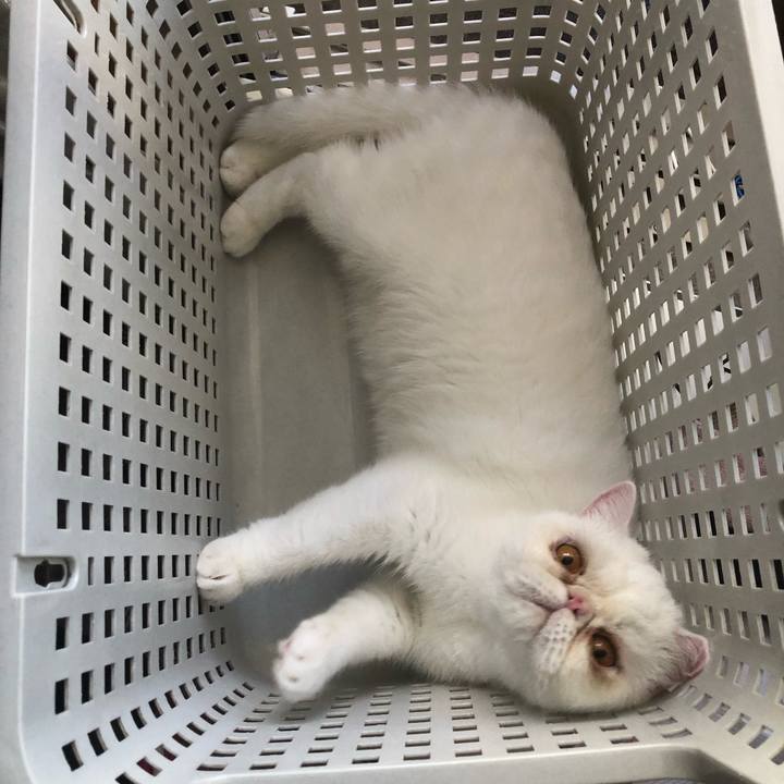 68b27654 4c4d 427a 9950 5becef0f6838 1598689778088