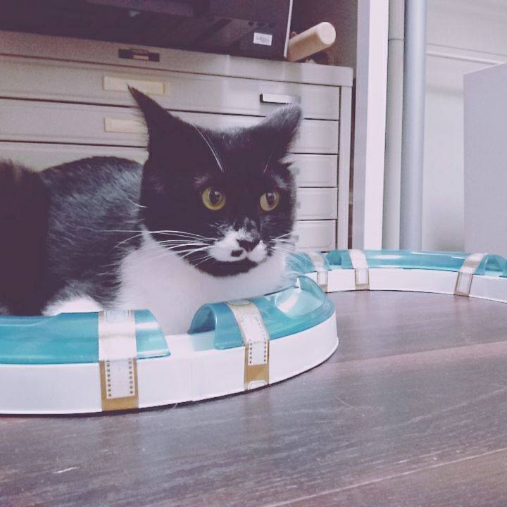 68b2a8ba f135 4caa bef2 4731dbc5e443 1533217857384