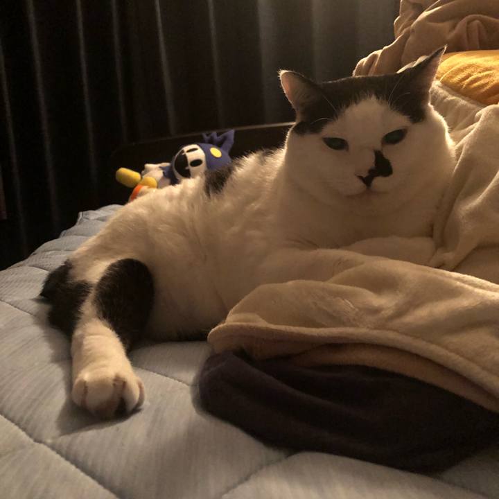 68b2c95a ce5f 47d8 8e1d f75c0fa18b6b 1537024509535