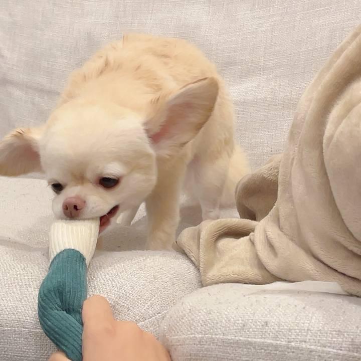 68b2e110 b453 467c b0a7 ae89d34c60fc 1722522890207